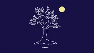Download Roy Woods - Drama feat. Drake (Audio) @RoyWoods MP3