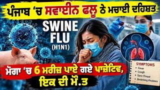 Punjab ‘ਚ Swine Flu ਨੇ ਮਚਾਈ ਦਹਿਸ਼ਤ, Moga ‘ਚ 6 ਮਰੀਜ਼ ਪਾਏ ਗਏ ਪਾਜ਼ੇਟਿਵ, ਇਕ ਦੀ ਮੌ.ਤ