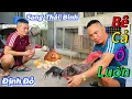 Download Lagu Định Đỏ Lần Đầu Tiên Đến Tận Thái Bình Nhận Ổ Gà Cả Mẹ Cả Con Và Bất Ngờ Với Cơ Ngơi Của Nhà