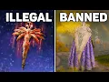 31 Removed Elden Ring Facts you Didn t Know