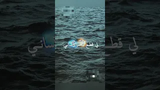 اخطيني ونعيش وحداني 