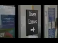 Kentucky to temporarily close licensing offices for new online portal rollout