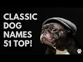 Classic Dog Names 51 BEST OLD-FASHIONED Ideas Names