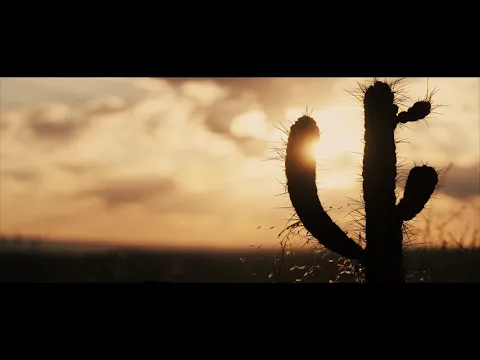 Puscifer "Existential Reckoning: Live at Arcosanti" Trailer