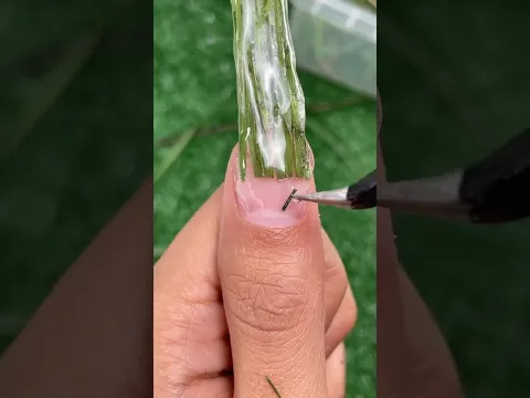 Real Grass Nail Art Encapsulation 💅🍃 ilysmnails .com #nails #nailsart #satisfying #nailtutorial