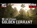 Golden Currant Locations for Daily Challenges - Red Dead Online RDR2