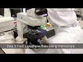 Dry Transfer of 2D Materials