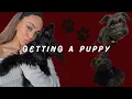 Bringing Home My New Puppy Mini schnauzer
