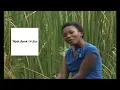 Download Lagu Martha Mwaipaja Tusikate Tamaa