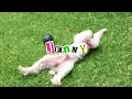 Goodmorning Pancake - Jenny (KARAOKE) no vocal (Only Instruments)