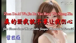 Download 真的爱我就不要让我伤心 [Jika Benar-benar Mencintaiku Jangan Membuatku Bersedih] 叶蕴仪 MP3