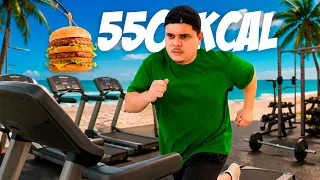Fazendo Exercícios até Queimar um Big Mac inteiro!
