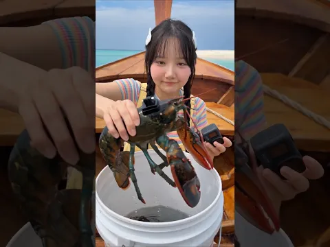 신기한 바닷속 세상