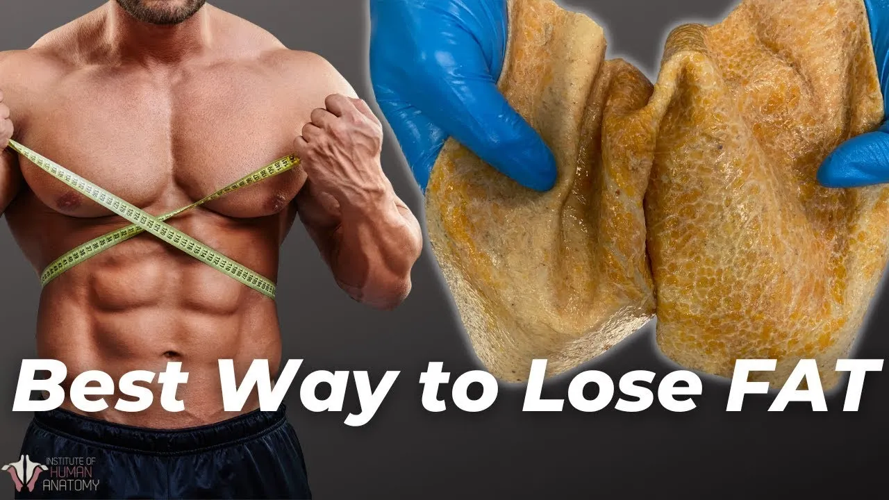 Outline Video The Best Way to Lose Fat | The Science of the Fat Burning Zone