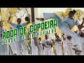 Download Lagu RODA NO PARQUE DO IBIRAPUERA COM MESTRE CAMISA - ABADÁ CAPOEIRA - SÃO PAULO - BENGUELA \u0026 SÃO BENTO