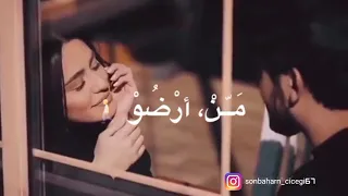 ستوري حب محمد المجذوب الحب الحب كلو على بعضو 