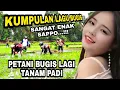 Kumpulan lagu bugis populer dengan visual kerja Menanam padi bugis soppeng sulawesi selatan