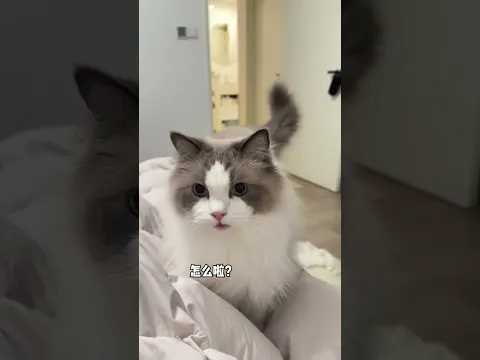 fast