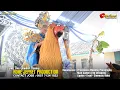 Download Lagu PERAHU LAYAR  || HARAPAN GEMILANG 2025 || AJ PRODUCTION HD || TIRTASARI 13-O7-2025