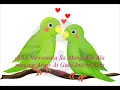 Boy  ( I love you )  by  Donna Cruz  with lyrics
