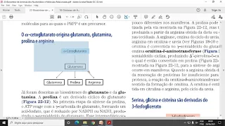 ACH5543 Aula12 - Biossíntese de Aminoácidos, Nucleotídeos e Moléculas Relacionadas - Parte 1