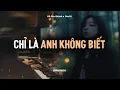 Lagu ♬ Chỉ Là Anh Không Biết - Hồ Gia Khánh x CaoTri | Official Lofi Lyrics