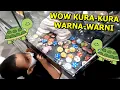 Download Lagu Beli Kura-Kura Lucu Warna-Warni Untuk Peliharaan Baru Azufi