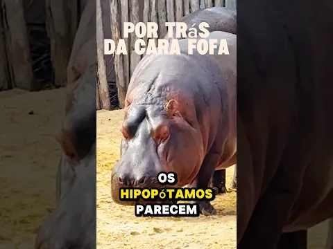 ele é uma máquina de guerra!