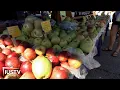 Cali tries dozens of apples at the Bloomington Farmer s Market IUSTV News