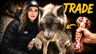 My WOLDOG KILLED a rabbit! - How to trade when your dog resource guards. 