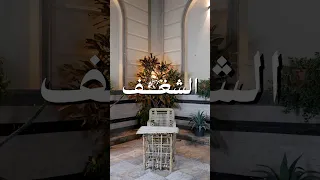 يوم صحيت مش لاقي سبب أقوم من السرير  مش كسل   فقدان الشغف  تطوير الذات  محتوى عربي  تحفيز          دندنها