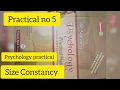 Size Constancy Practical BS psychology An approach to psychology