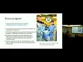 Why I Never Submitted My Stanford ENT Away Rotation Application