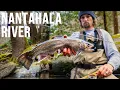 Fly Fishing NC s BEST Trout Stream The Nantahala River