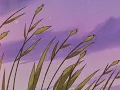 dile que tu No ( slowed + reverb) madiel Lara