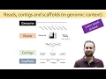 What are reads contigs and scaffold