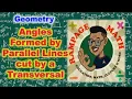 Angles Formed by 2 Parallel Lines Cut by a Transversal