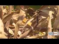 Climatologist Tuesday s rain not enough to change drought monitor in Central Illinois