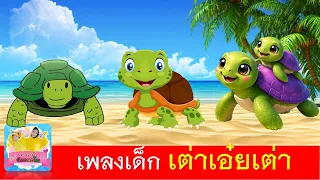 เพลงเด็ก เต่าเอ๋ยเต่า | เต่า 3 เวอร์ชั่น การ์ตูนน่ารัก