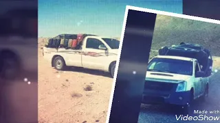 الرخ لا يا كبدي دندنها