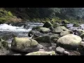 [Snowmelt river] 6 minutes to relax with images and sounds Before sleep Break