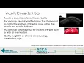 Maximizing Body Composition and Metabolism w Exercise and Nutrition w Abbie Smith-Ryan NSCA com