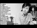 Download Lagu ARI LASSO - THE BEST OF ARI LASSO