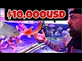 Download Lagu UNBELIVABLE Variety of FISH at THAILAND'S Largest FISH MARKET - A Must-See Tour!