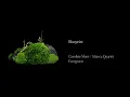 Caroline Shaw & Attacca Quartet - Blueprint (Official Audio)