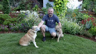 garden question and answer happy independence day