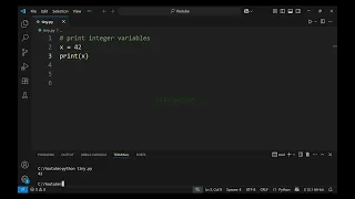 Print an integer variable in Python - Tiny Lessons