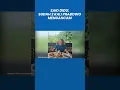 Download Lagu Said Didu Klaim Prabowo Dalam Tekanan: Sudah Dua Kali Jokowi Mengancam