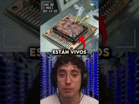Los nuevos SERVIDORES BIOLÓGICOS?