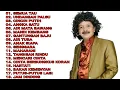 Download Lagu Caca Handika Full Album Tampa Iklan Lagu terbaik